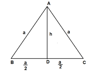 समबाहु त्रिभुज की ऊंचाई
