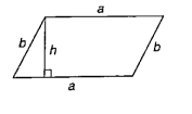 area of parallelogram